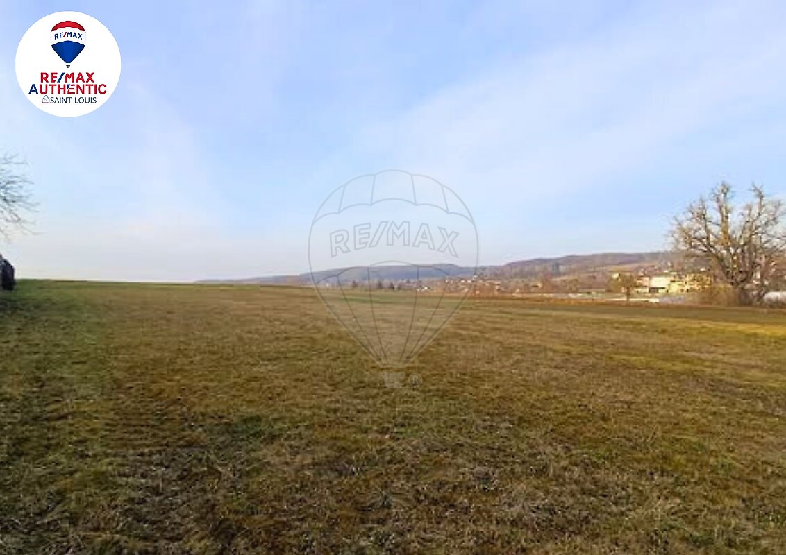 Terrain à vendre - Waldighofen