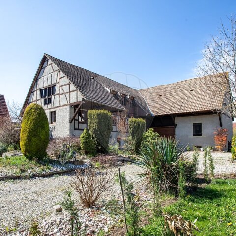Maison 4 chambre(s) à vendre - Rantzwiller