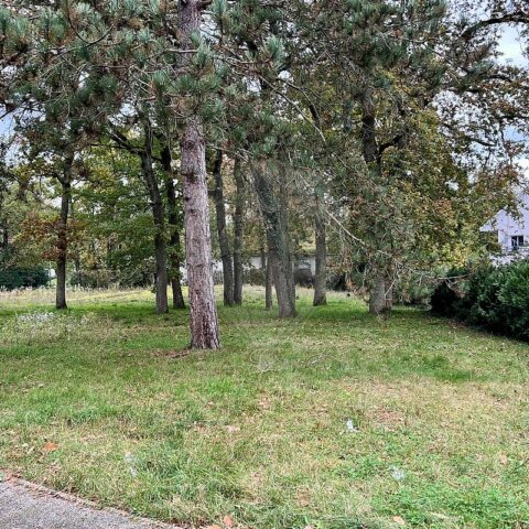 Terrain à vendre - Wittelsheim