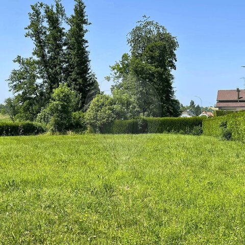 Terrain à vendre - Neuwiller