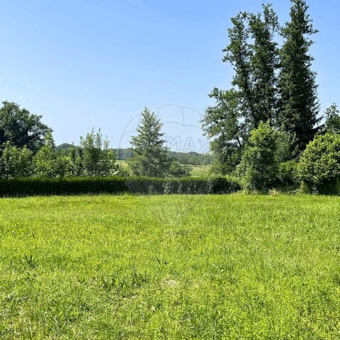 Terrain à vendre - Neuwiller