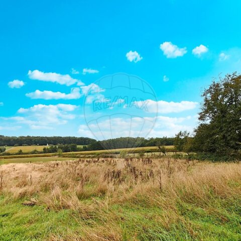 Terrain à vendre - Eteimbes