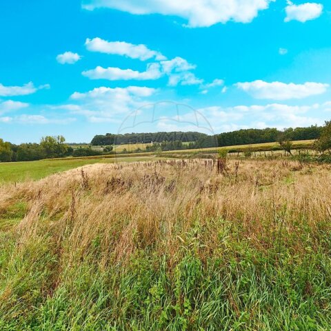 Terrain à vendre - Eteimbes