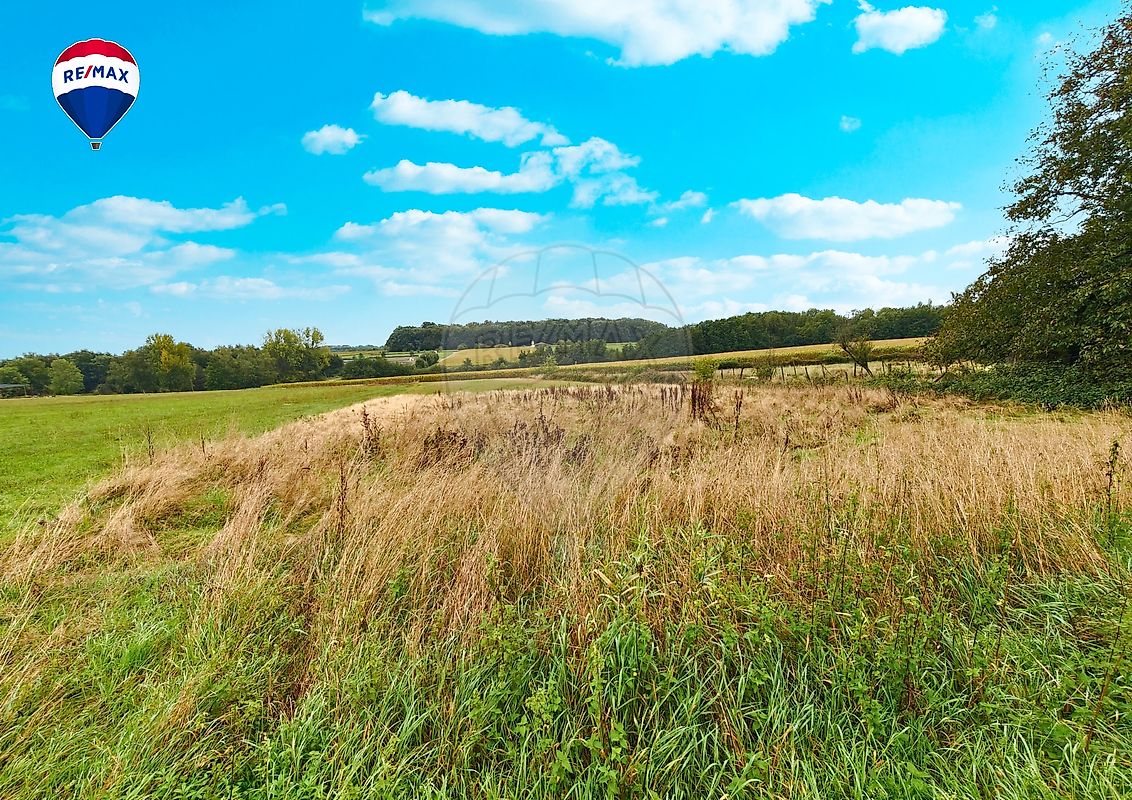 Terrain à vendre - Eteimbes