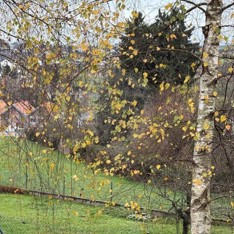 Terrain à vendre - Hagenthal-le-Bas