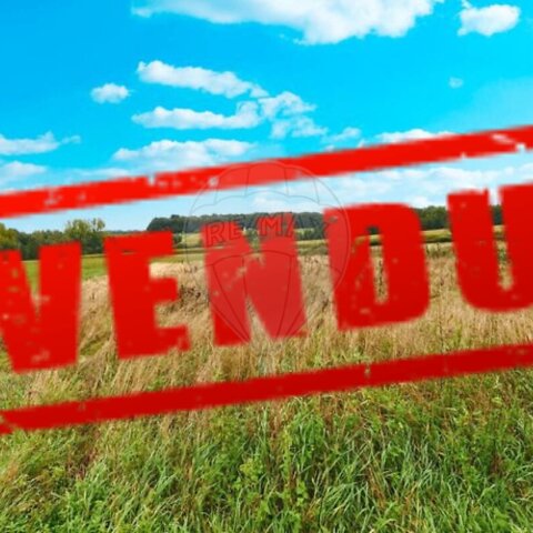 Terrain à vendre - Eteimbes