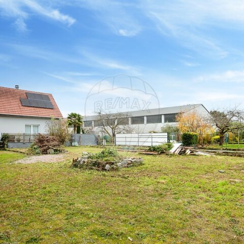 Terrain à vendre - Reiningue