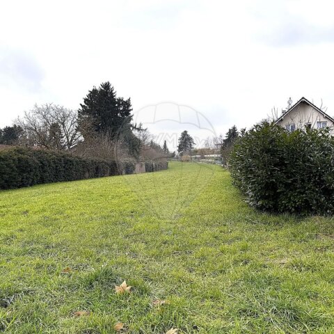 Terrain à vendre - Hagenthal-le-Bas