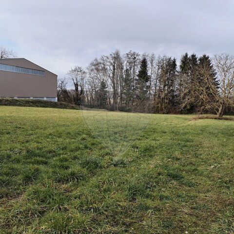 Terrain à vendre - Attenschwiller