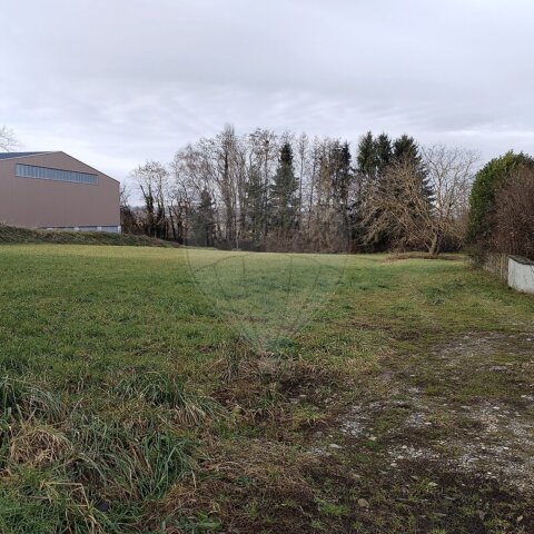 Terrain à vendre - Attenschwiller