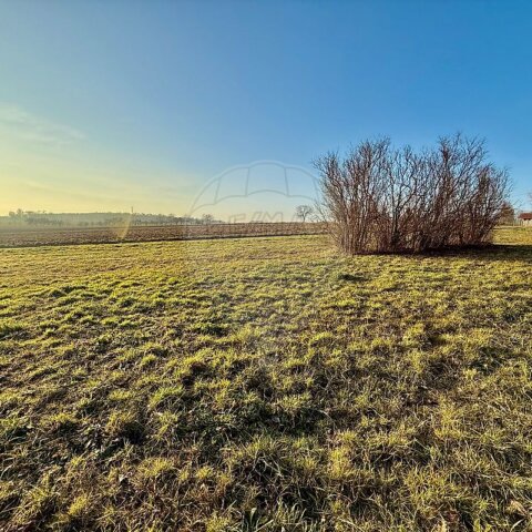 Terrain à vendre - Geispitzen