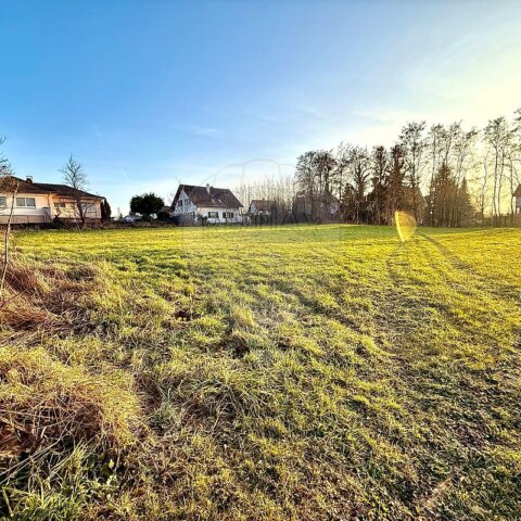 Terrain à vendre - Uffheim