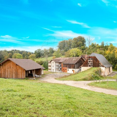 Immeuble à vendre - Lucelle