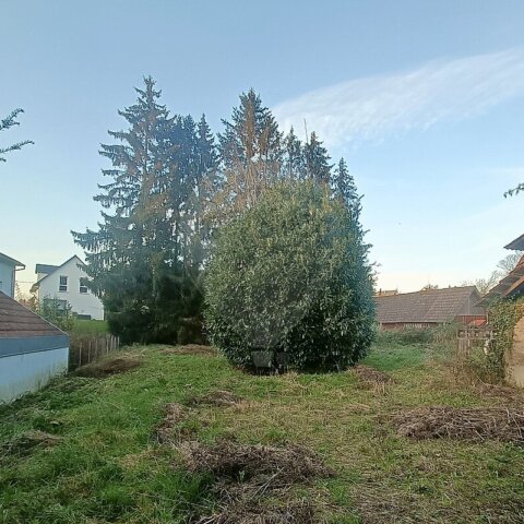 Maison 3 chambre(s) à vendre - Waldighofen