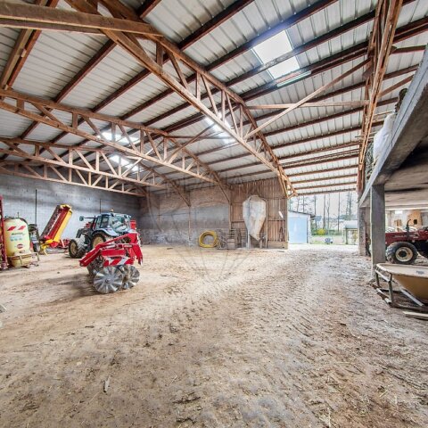 Maison 7 chambre(s) à vendre - Muespach