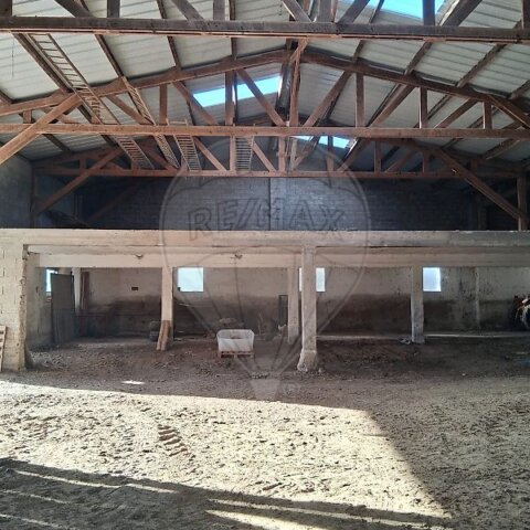 Maison 7 chambre(s) à vendre - Muespach