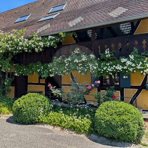 Maison 5 chambre(s) à vendre - Hagenthal-le-Haut